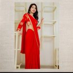 Red Chiffon Saree and Blouse with Embroidery