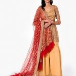 Golden Shimmery Sharara Set with Red Shawl
